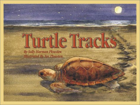 Imagen de archivo de Turtle Tracks a la venta por Goodbookscafe