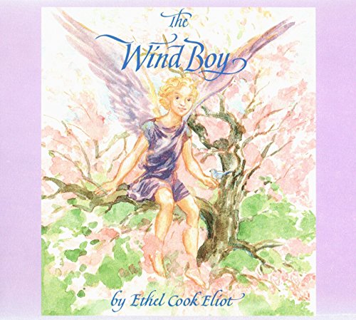 Imagen de archivo de The Wind Boy a la venta por HPB-Ruby