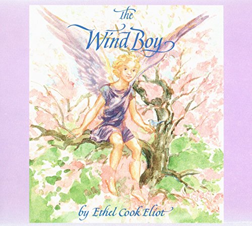 Stock image for The Wind Boy for sale by HPB-Ruby