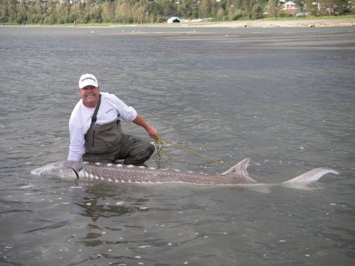 9780968479315: Fishing Fever: Fishing the Fraser River Mission To Hope