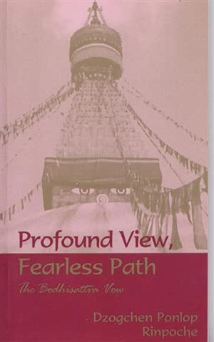 Beispielbild fr Profound View Fearless Path zum Verkauf von GoldBooks