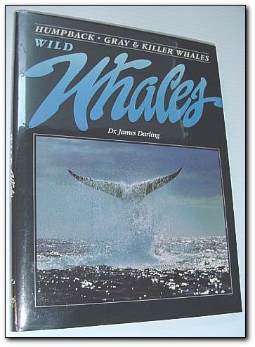 Imagen de archivo de Wild Whales: Humpback, Gray & Killer Whales a la venta por HPB-Diamond