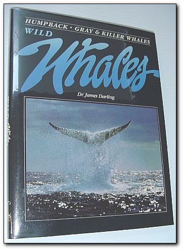 Wild Whales