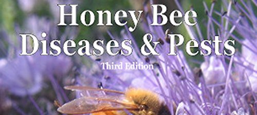 Stock image for Honey Bee Diseases Pests / Third Edition 2013 for sale by GoldenDragon