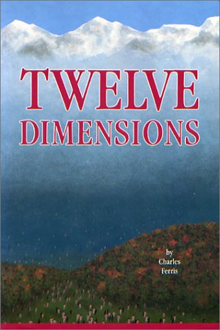 Imagen de archivo de Twelve Dimensions: A Compelling Description of a Journey Through Twelve Dimensions of Tangible Immortality a la venta por ThriftBooks-Atlanta