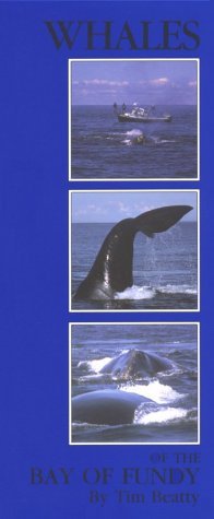 9780969403401: Whales of the Bay of Fundy