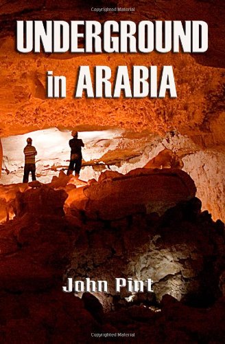 Beispielbild fr Underground in Arabia zum Verkauf von HPB-Red