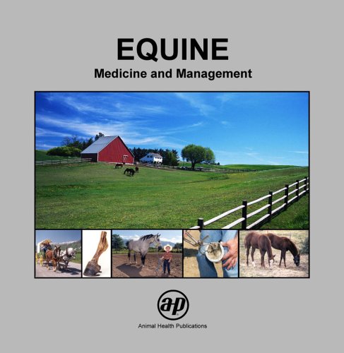 Beispielbild fr Equine: Medicine and Management zum Verkauf von HPB-Red