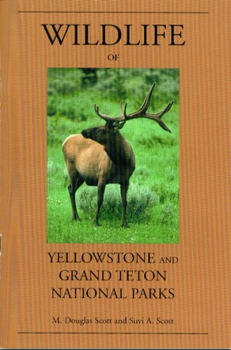 9780970206718: Wildlife of Yellowstone and Grand Teton National Parks