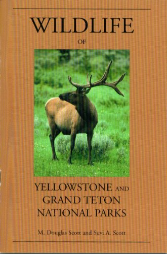 Stock image for Wildlife of Yellowstone and Grand Teton National Parks for sale by Wonder Book