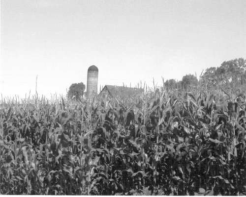 Bioclock Farm