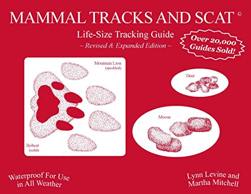 Stock image for Mammal Tracks and Scat: Life-Size Tracking Guide for sale by Textbooks_Source