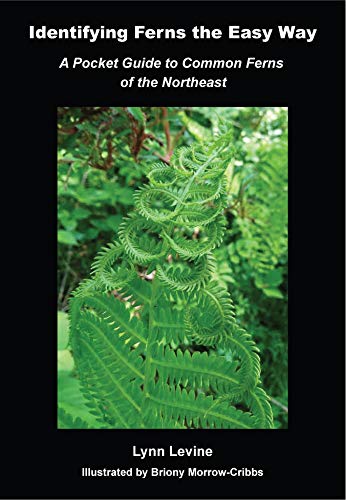 9780970365460: Identifying Ferns the Easy Way: A Pocket Guide to Common Ferns of the Northeast
