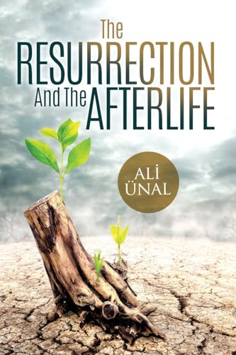 Stock image for The Resurrection and the Afterlife for sale by ThriftBooks-Atlanta