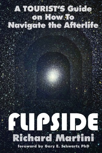 Stock image for FlipSide: A Tourist's Guide on How to Navigate the Afterlife for sale by Front Cover Books