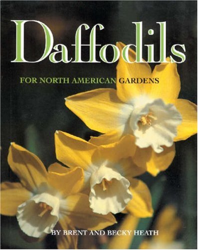 Beispielbild fr Daffodils : For North American Gardens zum Verkauf von Better World Books