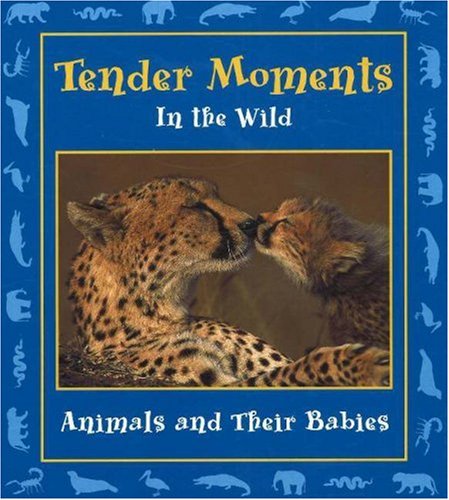 9780970776808: Tender Moments in the Wild: Animals and Their Babies (Moments in the Wild S.)