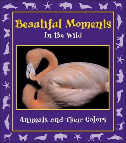 Stock image for Beautiful Moments in the Wild: Animals and Their Colors (Moments in the Wild Series) for sale by Hippo Books
