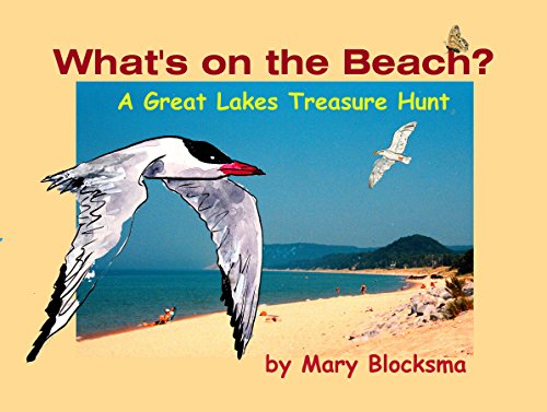 Stock image for What's on the Beach?: A Great Lakes Treasure Hunt for sale by ThriftBooks-Dallas