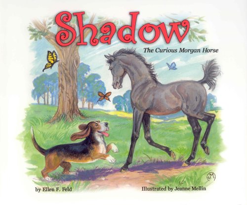 Beispielbild fr Shadow: The Curious Morgan Horse (Morgan Horse Series) zum Verkauf von Firefly Bookstore