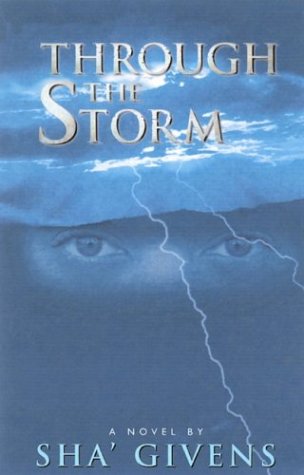 Beispielbild fr Through the Storm zum Verkauf von BooksRun