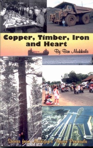 Stock image for Copper, Timber, Iron and Heart for sale by POQUETTE'S BOOKS