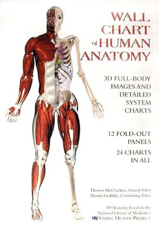 9780971007000: Wall Chart of Human Anatomy