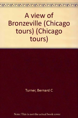 Stock image for A View of Bronzeville for sale by Better World Books