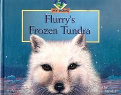Stock image for Flurry's Frozen Tundra (My Home, No. 2) for sale by Wonder Book