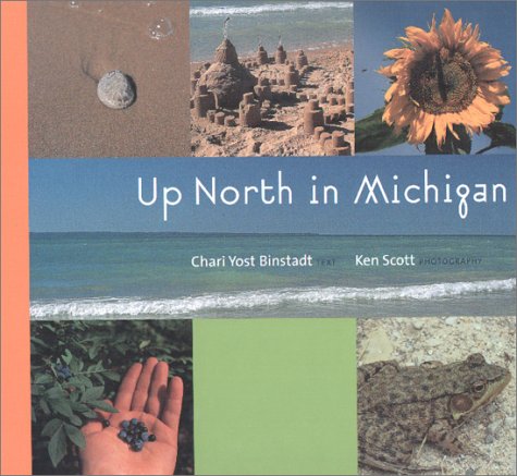 Beispielbild fr Up North in Michigan zum Verkauf von ABOXABOOKS