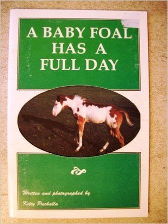 9780971352513: A Baby Foal Has a Full Day