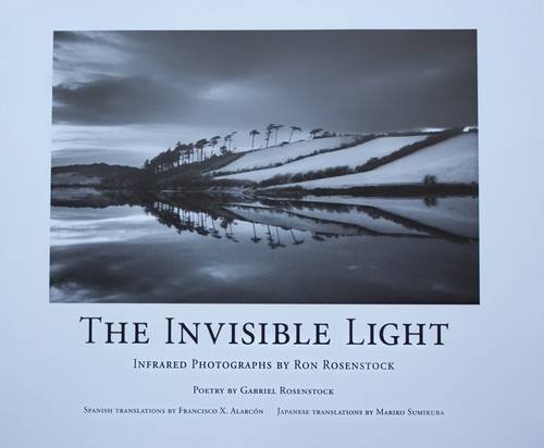 Beispielbild fr Invisible Light (English, Spanish and Japanese Edition) zum Verkauf von Time Tested Books
