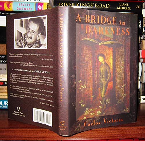 Imagen de archivo de A Bridge in Darkness a la venta por Muse Book Shop
