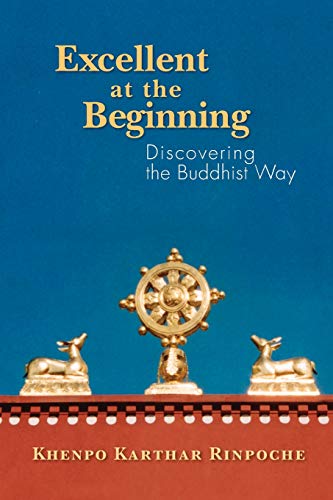 Beispielbild fr Excellent at the Beginning: Discovering the Buddhist Way zum Verkauf von SecondSale