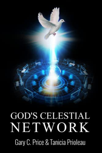 Stock image for God's Celestial Network for sale by SecondSale