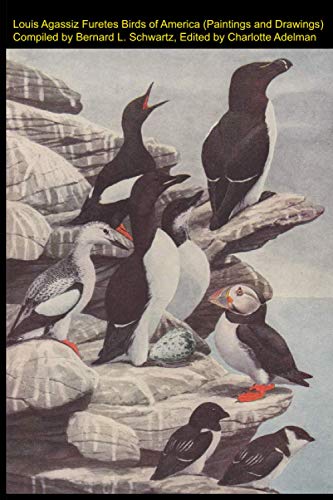 Beispielbild fr Louis Agassiz Furetes Birds of America (Paintings and Drawings) zum Verkauf von GF Books, Inc.