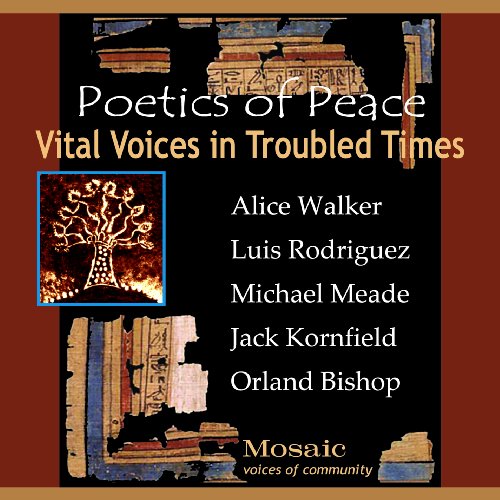 Vital Voices in Troubled Times (9780971601154) by Alice Walker; Michael Meade; Luis Rodriguez; Orland Bishop; Jack Kornfield