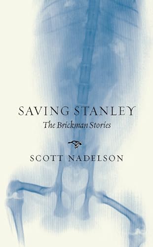 Stock image for Saving Stanley : The Brickman Stories for sale by Better World Books