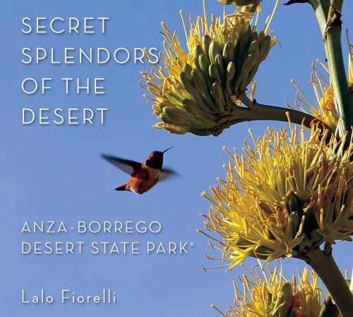 9780971722842: Secret Splendors of the Desert, Anza Borrego Desert State Park