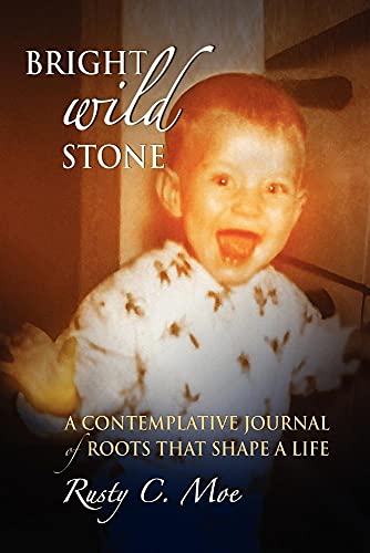 Stock image for Bright Wild Stone: A Contemplative Journal of Roots That Shape a Life for sale by HPB Inc.