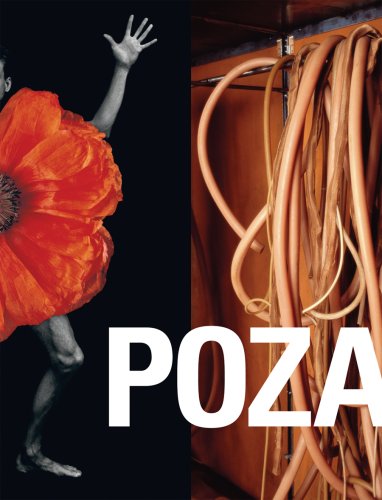 Stock image for Poza: On the Polishness of Polish Contemporary Art for sale by ThriftBooks-Atlanta