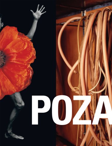 POZA: On the Polishness of Polish Contemporary Art (9780971785939) by Krzysztof Wodiczko; Ursula Von Rydingsvard; Anna Bella Geiger; Dominik Lejman; Zofia Kulik