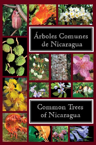 Beispielbild fr Common Trees of Nicaragua - rboles Comunes de Nicaragua zum Verkauf von GF Books, Inc.