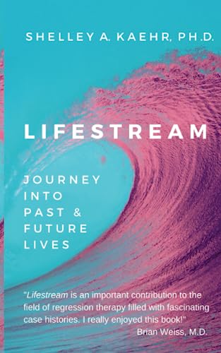 Stock image for Lifestream: Journey into Past and Future Lives for sale by Ernie's Books