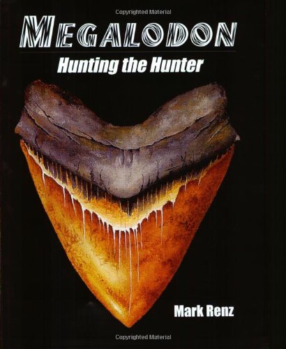 Stock image for Megalodon: Hunting the Hunter for sale by SecondSale