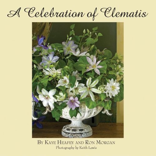 Beispielbild fr A Celebration of Clematis : From the Gardens of Chalk Hill Nursery zum Verkauf von Better World Books