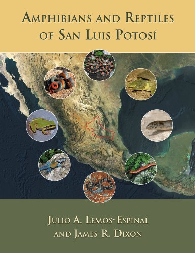 9780972015479: Amphibians and Reptiles of San Luis Potos