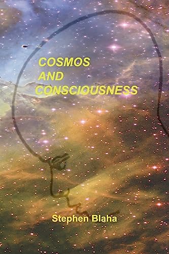 Stock image for Cosmos and Consciousness: Quantum Computers, SuperStrings, Programming, Egypt, Quarks, Mind Body Problem, and Turing Machines for sale by HPB-Ruby