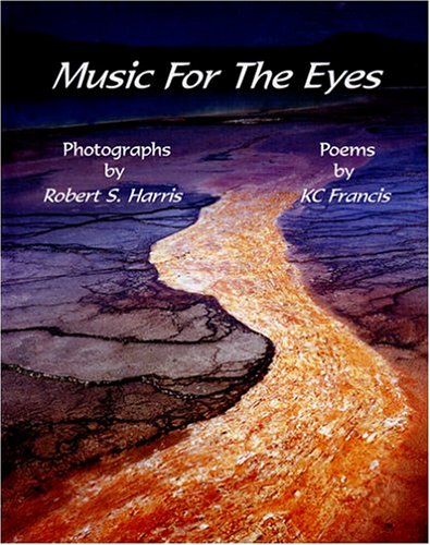 Stock image for Music for the Eyes for sale by Wonder Book