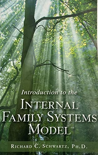 9780972148009: Introduction to the Internal Family Systems Model